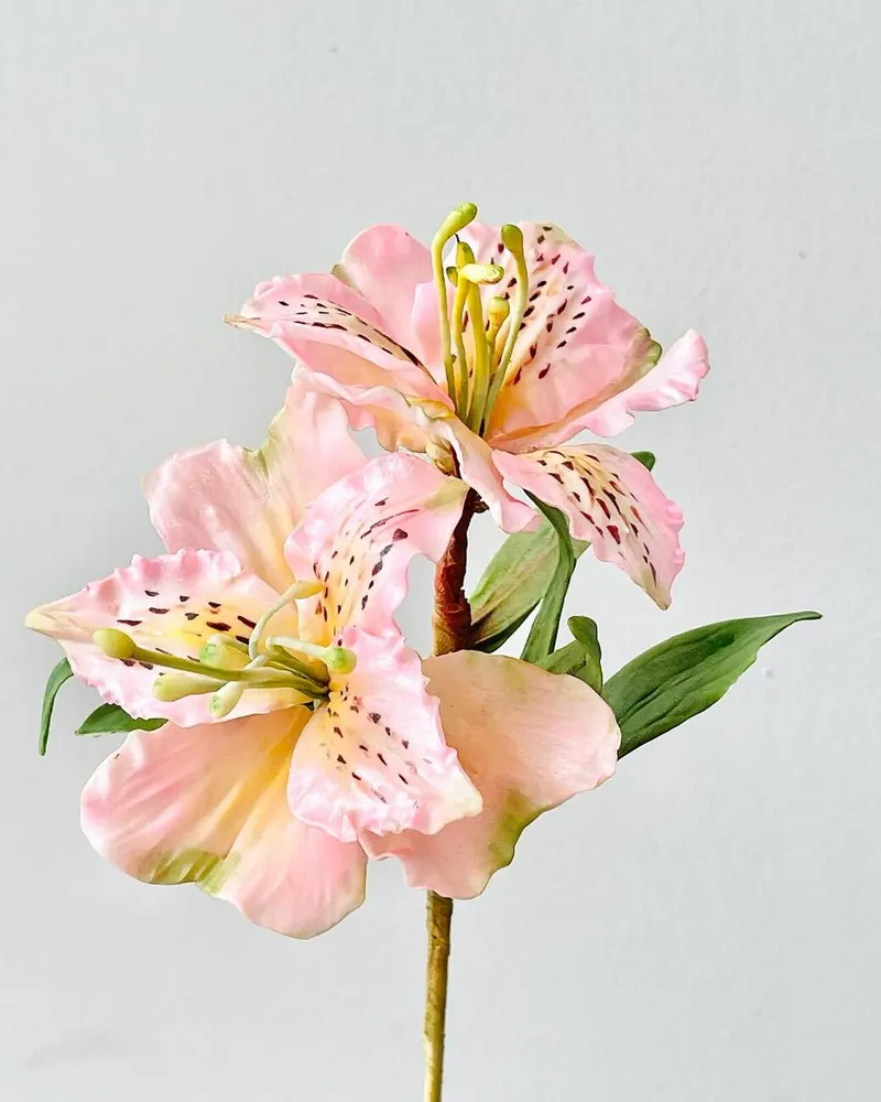 From a past Sugar Flower Masterclass